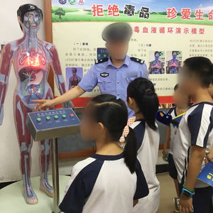 Modelo eléctrico de circulación sanguínea de drogadictos ZM7029 Tamaño natural - Product Image 5