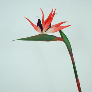 GZYX007 reali Touch artificiali tropici fiori morbido PVC Strelitzia artificiale uccello del paradiso pianta fiore decorazione per la tavola della casa - Product Image 4