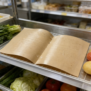 10 Pezzi/Sacchetto OPP Trappola per Mosche Usa e Getta in Carta Kraft Sicura e Igienica con Controllo Fisico per Ristoranti, Panetterie e Caffetterie - Product Image 6