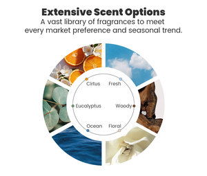 A lunga durata 120ml di profumo di olio essenziale verticale striscia nera tappo oro diffusore di lamella <span class=keywords><strong>per</strong></span> camera da letto bagno <span class=keywords><strong>casa</strong></span> senza fuoco - Product Image 4
