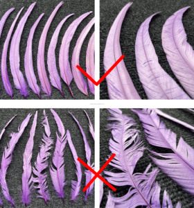 Plumes de queue de <span class=keywords><strong>coq</strong></span> naturelles teintes sur mesure en gros pour la pêche à la mouche, les costumes, le carnaval, les mariages, les fêtes, l'artisanat et la décoration de scène - Product Image 2