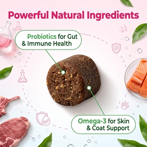 Golosinas Naturales para Perros con Etiqueta Privada OEM para la Picazón y la Inmunidad, Suplemento para Alergias, Masticables Blandos que Refuerzan la Salud del Sistema Inmunitario con Probióticos - Product Image 4