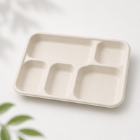 Assiette jetable durable en bagasse pour la restauration, les plats à emporter et les repas quotidiens