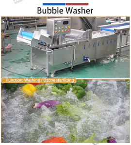 Ligne de lavage et de découpe de fruits et légumes Fengxiang 1000-1500 kg/h – Équipement de traitement personnalisable pour poivrons, navets et longanes - Product Image 3