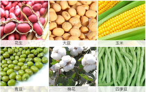 Seed <b>Planter</b> Hand Corn Seed <b>Planter</b> Machine Seed <b>Planter</b> and Fertilizer Drill Seed <b>Planter</b> and Fertilizer Drill - Product Image 6