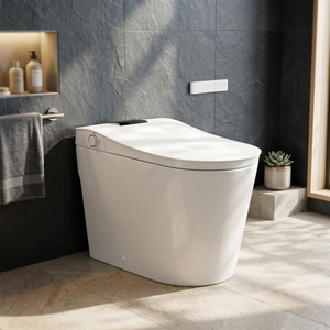 HOROW Smart Bidet Toilet Elongated Auto Flush, Instant Warm Water, Night Light - Product Image 3