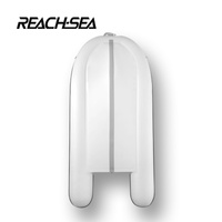 RSDam320 Lihgt Gay Bateau pneumatique gonflable de 320 cm