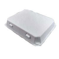 12 Conteneurs de stockage d'œufs naturels vides porte-pâte porte-œufs de caille boîtes de conteneurs pour le stockage pour ferme marchande