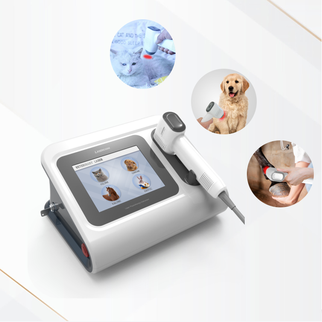 Cold Veterinary Laser Therapy Laser Medical Therapy Physiotherapy Equipment