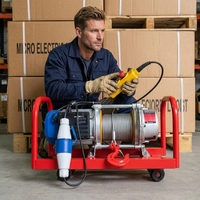 Palans électriques à câble de 500 kg de style italien, 220V/380V avec roues métalliques, télécommande sans fil en option