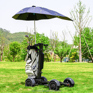 Voiturette de golf électrique en aluminium RMT M12-1 de 10 pouces, batterie au lithium 2000W, capacité de charge de 150 kg, <span class=keywords><strong>buggy</strong></span> pliable, autonomie de 18 trous - Product Image 6