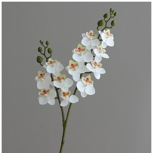 Venta al por Mayor de Fábrica: Orquídea Phalaenopsis Artificial de 2 Ramas con Tacto Realista para Arreglos Florales y Decoración del Hogar - Product Image 5