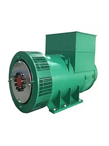 Générateur triphasé 1500 tr/min 50 Hz 1000 kVA 800 kW Alternateur sans balais NF-404E, NF-404E - Product Image 2