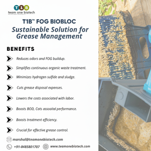 Bio-bloc anti-graisse pour restaurant en plastique pour une décomposition efficace des graisses - Product Image 1