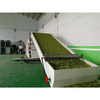 Costo de la Máquina Secadora de Cebollas en Sudáfrica, Deshidratación de Cebollas para Exportación, Máquina Secadora de Banda de Calidad con Vapor