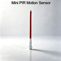 Détecteur PIR miniature en gros d'usine DC3-24V avec sonde séparée flexible, interrupteurs intelligents à temporisation personnalisée pour armoire et bande LED