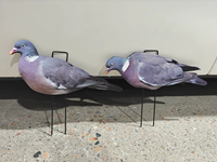 Décoys de chasse anti-reflet en PP, silhouettes réalistes de pigeons et colombes, imperméables