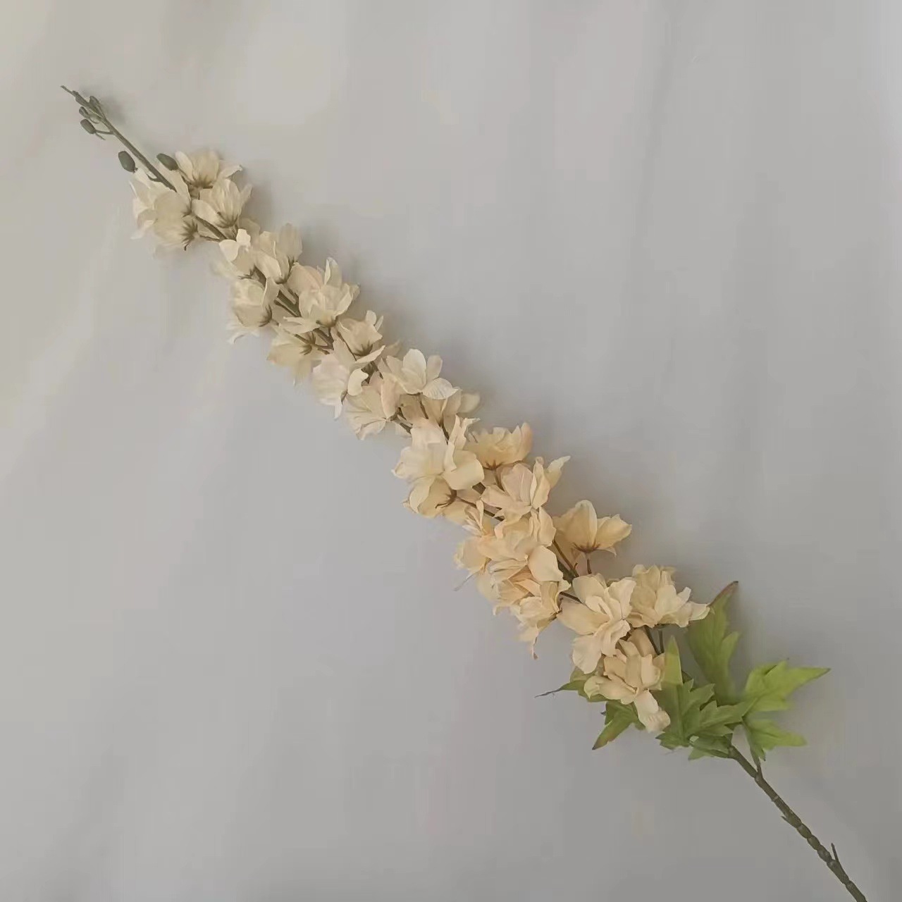 สีแชมเปญ