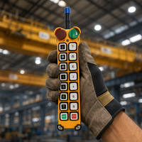 Télécommande radio industrielle professionnelle F24-14S, 14 touches, vitesse unique, longue portée, pour pont roulant