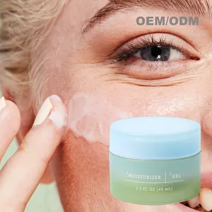 Lowest MOQ Custom Gel Moisturizer Skinceuticals Hydrating B5 Gel Private Label Complexion Rescue Tinted Moisturiser