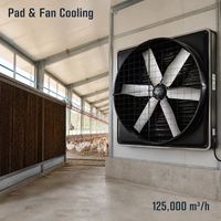Ventilateur d'extraction pour poulailler avec système de refroidissement par panneaux évaporatifs, 6 pales en alliage et moteur BLDC pour bâtiments avicoles