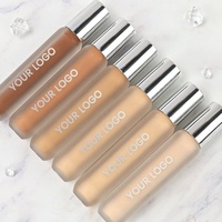 Corrector Líquido Profesional de 6 Colores de Marca Privada, Control de Grasa, Larga Duración, Resistente al Agua, Cobertura Total