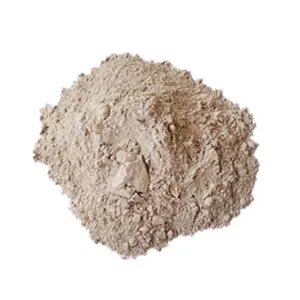 Powder Concrete Accelerator Quick Setting Accelerator Powder Concrete Admixture