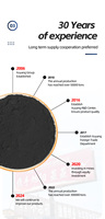 Pigment d'oxyde de fer noir, poudre de couleur inorganique, CAS n° 12227-9-3 pour peinture, revêtement, béton, ciment, caoutchouc, plastique