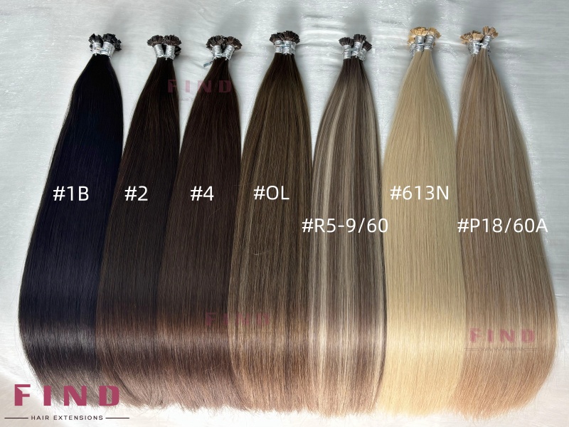 couleur unie