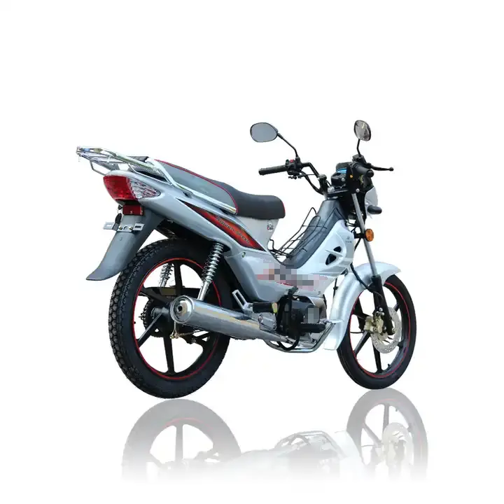 4.8L Exclusive Design Classic Street Bike Moped Bicycle 49cc 110cc 2 Stroke Engine Gasoline Pedal Assisted Moped