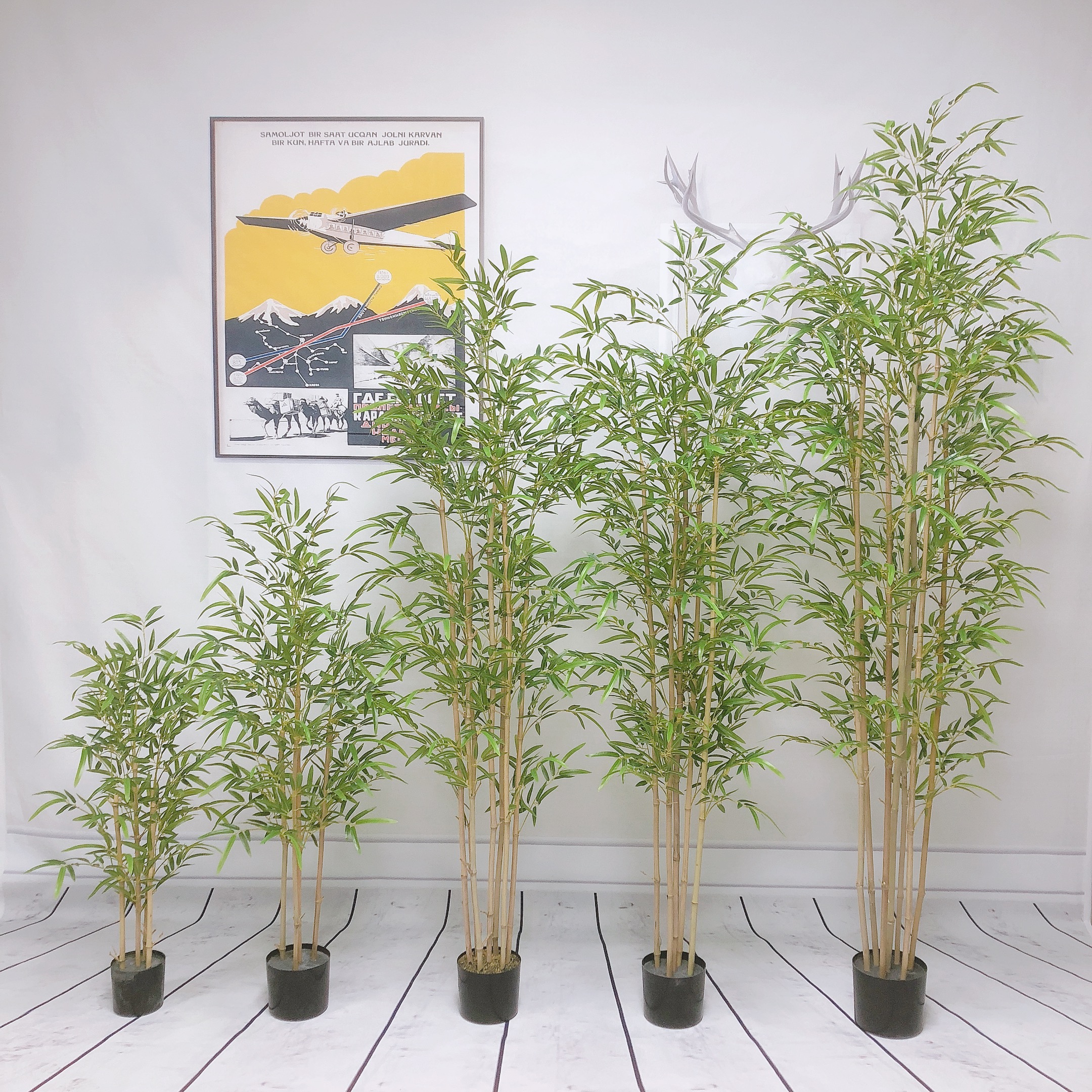 Lucky Bamboo In Neutral Pottery Local Delivery Only In South Milwaukee, WI - PARKWAY FLORAL INC - Foto 8