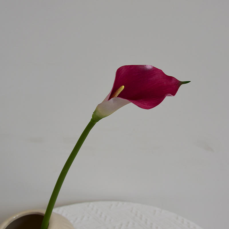 สีชมพูเข้ม