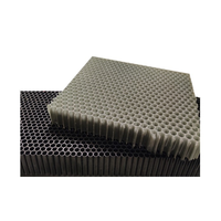 Service de découpe et de traitement de panneaux solaires en nid d'abeille en plastique transparent multicouche PP6 personnalisable, échantillon gratuit disponible