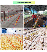 Élevage de volailles Coops de poulets de chair en plein air Mangeoire pour volailles Casseroles Élevage de poulets Agriculture terrestre pour les fermes