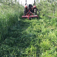 Venta caliente Tractor agrícola Implemento 3 puntos Tractor agrícola Bush Hog Cortacésped de corte rotativo