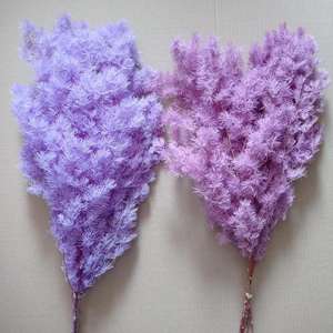 Fiori Secchi di Felce Ming, Asparagus Felice Naturale Essiccato e Conservato per Decorazioni di Matrimoni, Natale, Laurea e Capodanno Cinese - Product Image 3