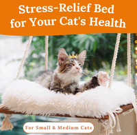 Perchoir de fenêtre en bois massif pour chat avec ventouses puissantes conception de lit hamac capacité de charge gain de place pour lit monté sur fenêtre