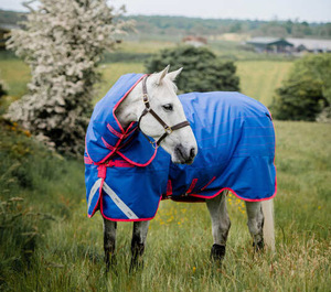 Tapis <span class=keywords><strong>de</strong></span> <span class=keywords><strong>cheval</strong></span> réfléchissant personnalisé, couverture d'extérieur avec cou amovible, tapis <span class=keywords><strong>cheval</strong></span> - Product Image 2