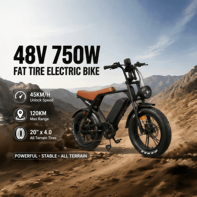 750W Full Suspension Electric Mountain Bike 20*4 Fat Tire Utility Carbon Steel E-MTB Mid Drive Motor OEM Custom Brand Wholesale