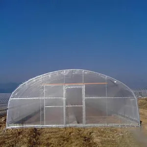 プラスチックフィルム農業温室によるトマト温室亜鉛メッキシングルスパンおよびマルチスパン農業温室
