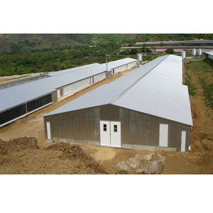 Ferme avicole gallinero Construcción prefabricada Proyecto DE AVICULTURA de pollo - Product Image 6