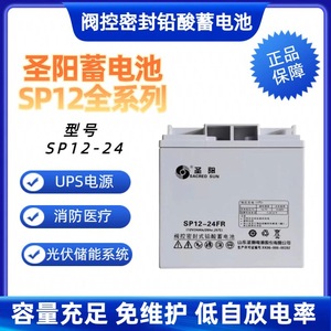 Saint-Yang SP12-24แบตเตอรี่ VRLA 12V 24Ah แบตเตอรี่สำหรับรถสามล้อไฟฟ้าสำหรับรถยนต์ - Product Image 5