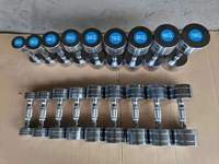Ensemble d'haltères fixes en acier chromé poli DINUO 1 kg-10 kg, résistant à la corrosion, poignées ergonomiques antidérapantes, entraînements à domicile, bureau