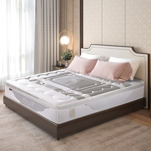 Cao Cấp Chất Lượng Mới Danh sách Mật Độ Cao Bộ Nhớ Bọt Cao Su Tự Nhiên Túi Mùa Xuân Nệm Chuyển Đổi Cho Phòng Ngủ Đồ Nội Thất Nhà - Product Image 4