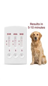 Kit de diagnóstico rápido <span class=keywords><strong>veterinario</strong></span> al por mayor para perros: EHR+ANA+CHW (4 en 1) para la detección de gusanos del corazón en clínicas veterinarias - Product Image 6