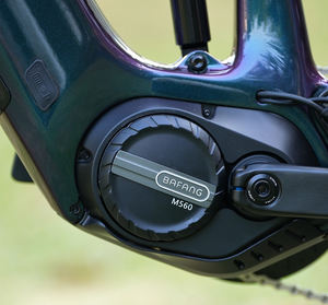 Bicicleta Eléctrica de Montaña para Descenso, Cuadro de Carbono, Batería de 48V, Motor Central Bafang, Suspensión Completa, 29 Pulgadas, Emtb - Product Image 4