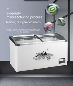 Cina vendita della fabbrica doppia porta congelatore orizzontale Freezer Top <span class=keywords><strong>aperto</strong></span> per cucina commerciale cucina attrezzatura di refrigerazione - Product Image 3