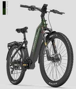 Vélo Électrique de Ville Lankeleisi MG600 Lite 250W 36V 20Ah 720Wh avec Capteur Commutable, Capacité 200kg, IP54, Vente en Gros B2B, Vélo Électrique Tout-Terrain - Product Image 1