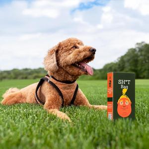 Bolsas para excremento de perro sin perfume Stable Genius – a prueba de fugas y duraderas, 4 rollos (60 bolsas) - Product Image 3