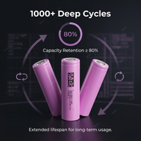 Sel Baterai Silinder DMEGC Style 18650 NMC 3.7V 2600mAh, Esensial Sehari-hari Untuk Remote TV, Timbangan Dapur, Dan Jam